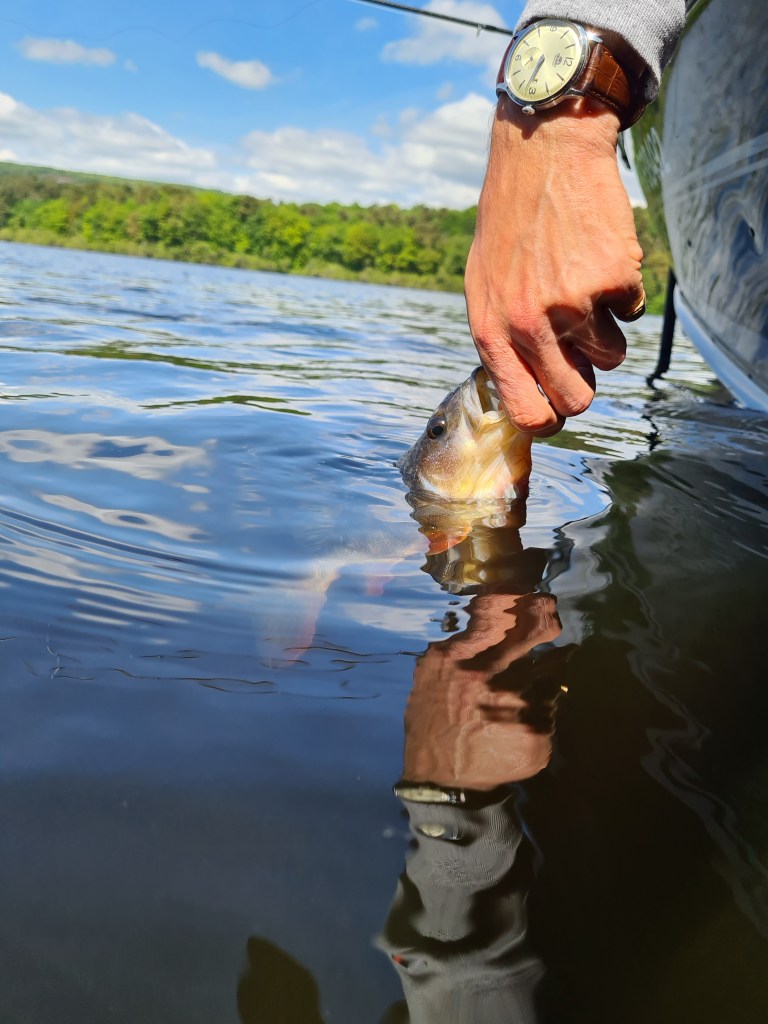 This image has an empty alt attribute; its file name is 20220506_151138.jpg